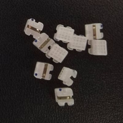 DTC 세라믹 브래킷 맑은 정형 치아 브래킷 CE ISO 인증 3 년 유효기간